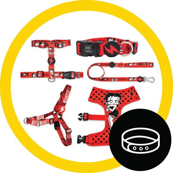  DASHI aksesuāri suņiem un kaķiem