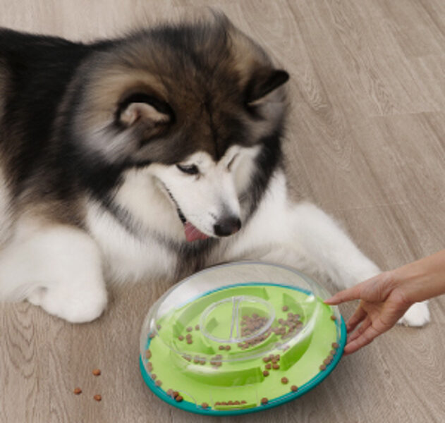 Lēnēšanas bļodas un bļodas suņiem 