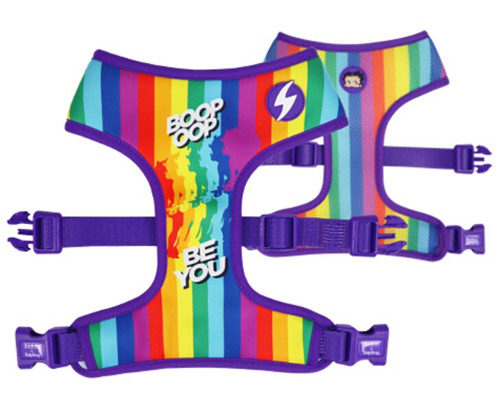 Dashi BETTY YOU abpusējie NeoMesh iemaukti suņiem un kaķiem