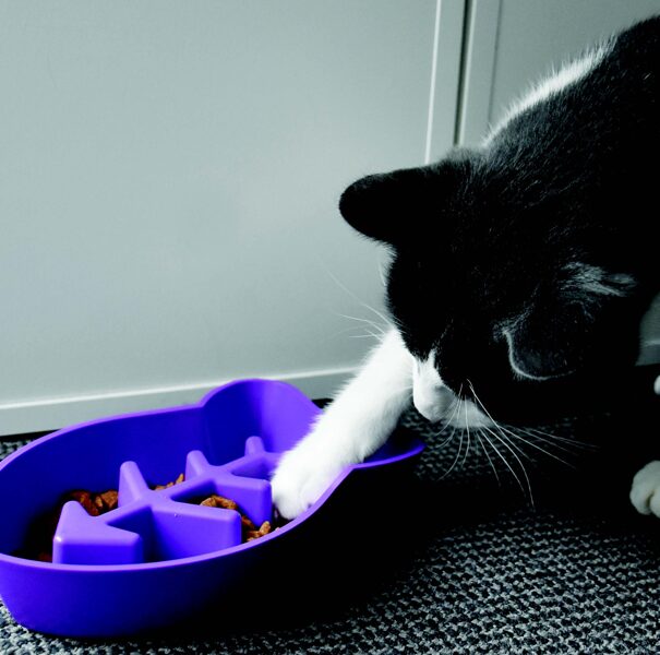 VetoPop lēnēšanas bļoda kaķim, violeta