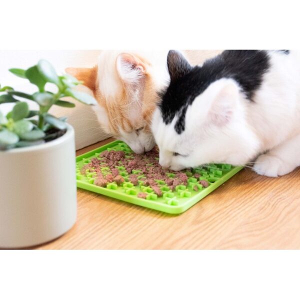 VETOPOP laizīšanas paklājiņš