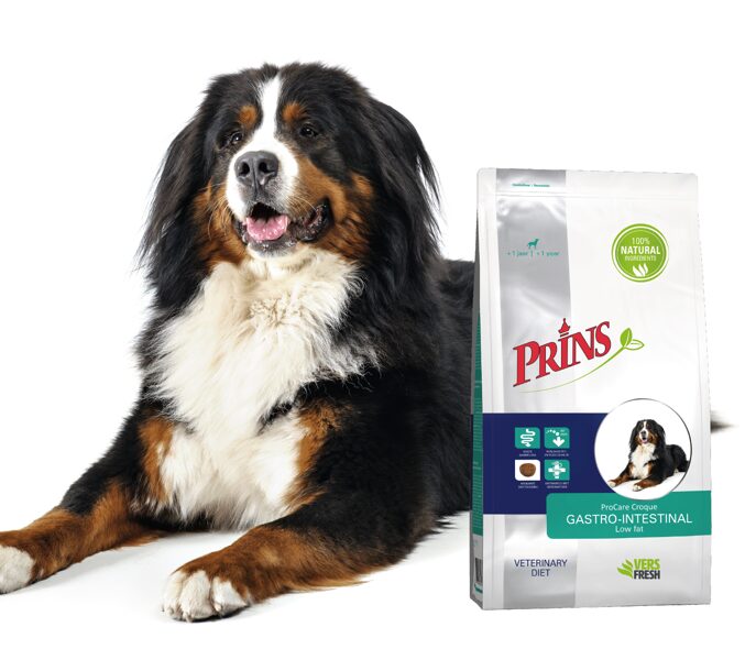 Prins ProCare Croque Diet GASTRO-INTESTINAL Low Fat barība suņiem ar kuņģa-zarnu trakta problēmām