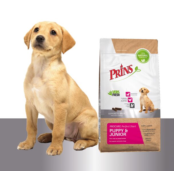 Prins ProCare PUPPY&JUNIOR Perfect Start kucēniem un junioriem